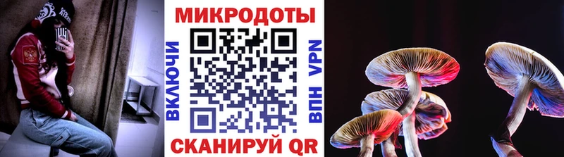 Галлюциногенные грибы GOLDEN TEACHER  Александровск 